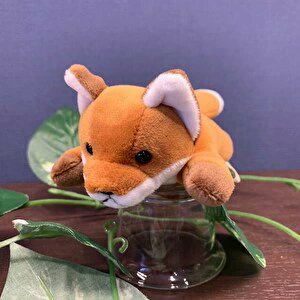 lashvrcx's tweet image. VketReal会場またはその周辺で、このキツネのぬいぐるみを見かけた人いたら連絡まってます🥲 #VketReal #失せ物 #落とし物