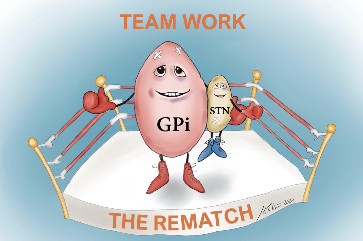 DBS Think Tank (@dbsthinktank) on Twitter photo Great paper by <a href="/dilucadaniel/">Daniel G. Di Luca</a> on the predictors of levodopa reduction after GPi DBS in PD. They found that anteromedial stim was associated with higher LEDD reduction. Bringing back the rematch to challenge the idea that GPi DBS has minimal med reduction.
…mentdisorders.onlinelibrary.wiley.com/doi/10.1002/md… Great paper by <a href="/dilucadaniel/">Daniel G. Di Luca</a> on the predictors of levodopa reduction after GPi DBS in PD. They found that anteromedial stim was associated with higher LEDD reduction. Bringing back the rematch to challenge the idea that GPi DBS has minimal med reduction.
…mentdisorders.onlinelibrary.wiley.com/doi/10.1002/md…