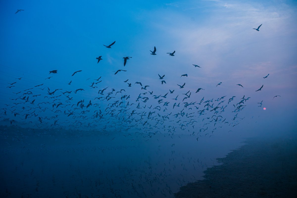kennyslzr's tweet image. Received this gorgeous photo in my @objktcom collection. Thank you @subhrojitdeyFWD and Happy Birthday to you!
objkt.com/tokens/KT1H6R1…