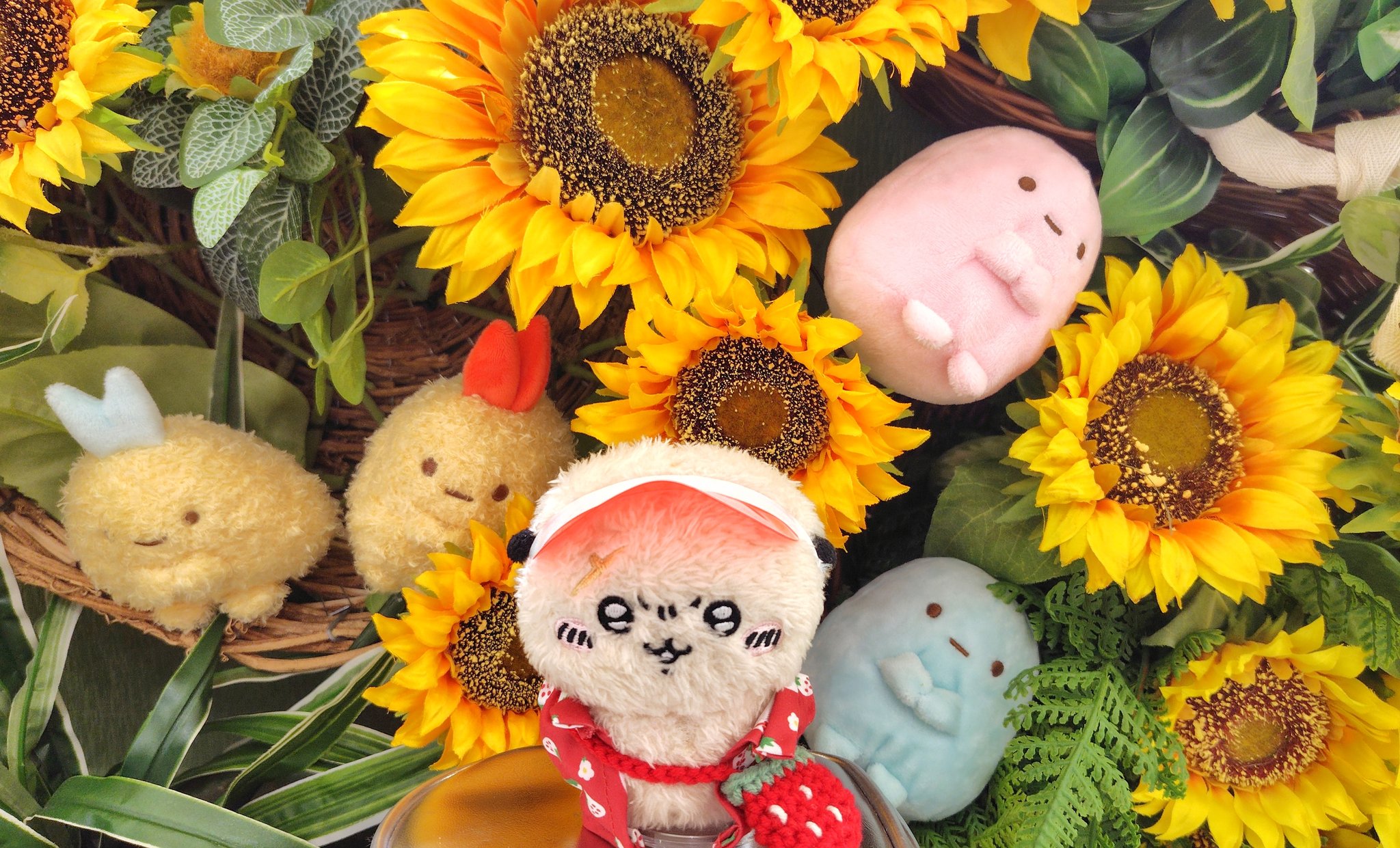 猫の雑貨　犬の雑貨　小物入れ　２点　HANAKO 猫の雑貨 犬の雑貨 小物入れ 2点 HANAKO 花にゃん子堂＠通販