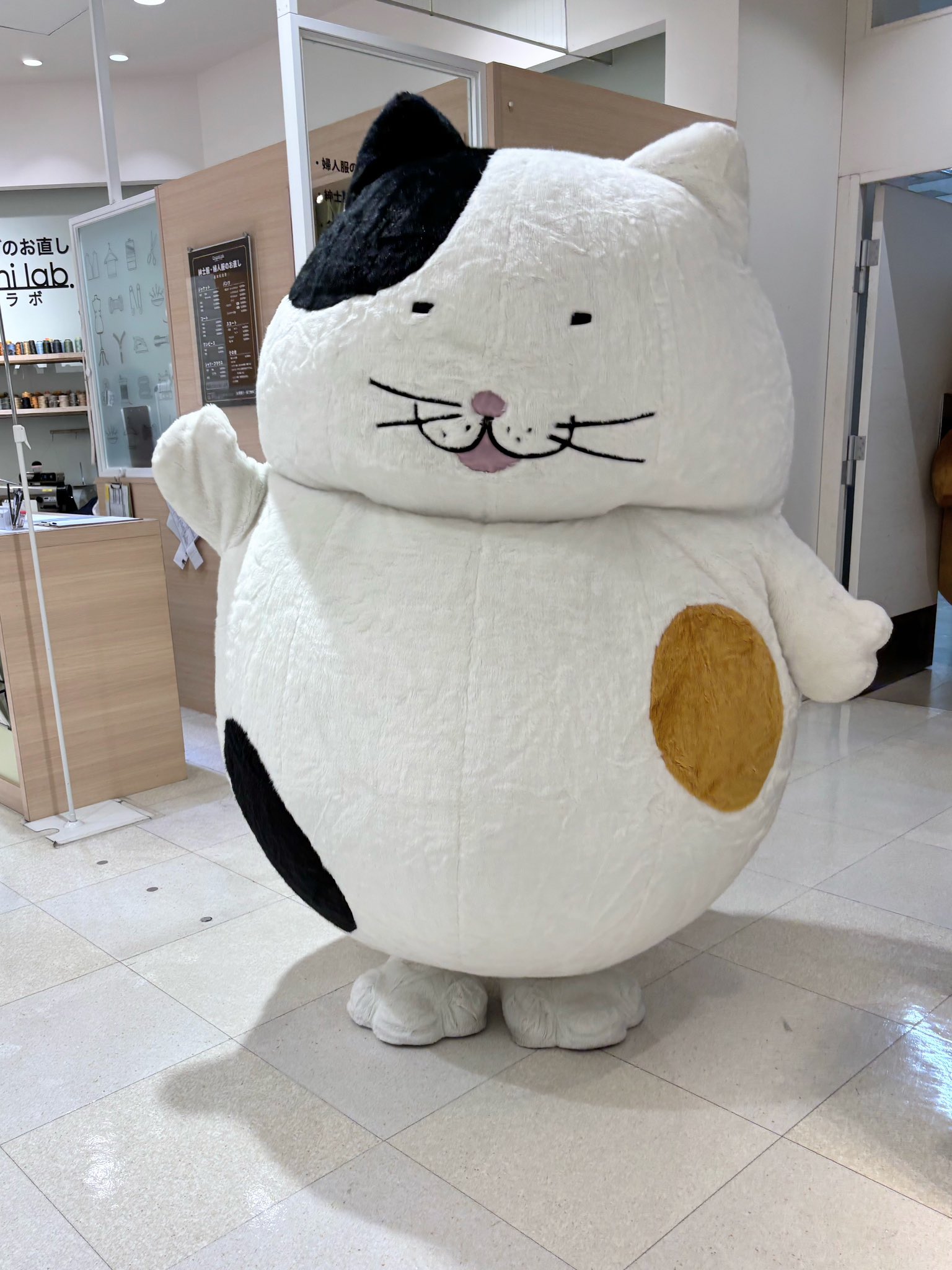 でぶねこ様への出品となります imgrc0069131384.jpg