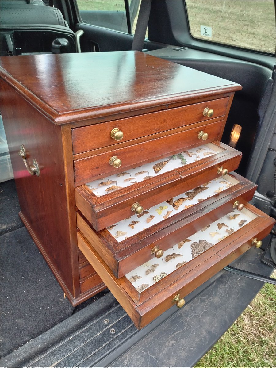 SDetectorist's tweet image. I fell in love with these drawers last weekend, and have spent all week trying to justify spending a substantial amount of money on them, still wasn't sure when I went back 🤔
Unfortunately full of bugs, which I shall try to rehome
My next finds display project 🤗