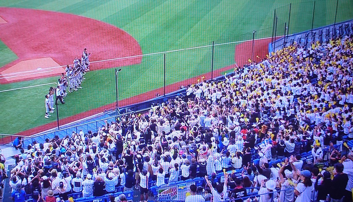 shakaijin_base's tweet image. 全国高校選手権神奈川大会決勝は14時開始だった。
他の関東の決勝(茨城、栃木、群馬、埼玉、千葉)は10時開始。午後は気温が上がるから大変だったろう。ハマスタは人工芝だし。
都市対抗西関東2次予選の2試合日の第1試合はハマスタの13時開始で、しかもワイはスーツを着て観戦するから“修行”であるwww