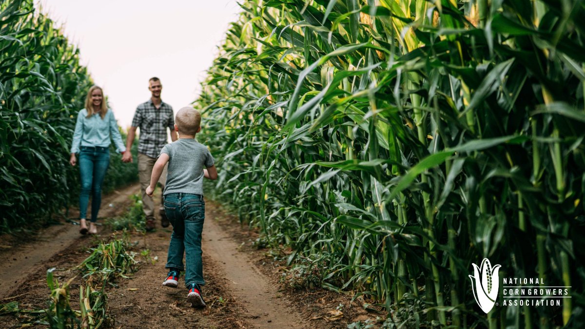Today we recognize the people that lead by example on the farm! Happy #NationalParentsDay to the individuals that guide our farm families in resilience and stewardship of the land. You hard work will be respected for generations to come! 🌽