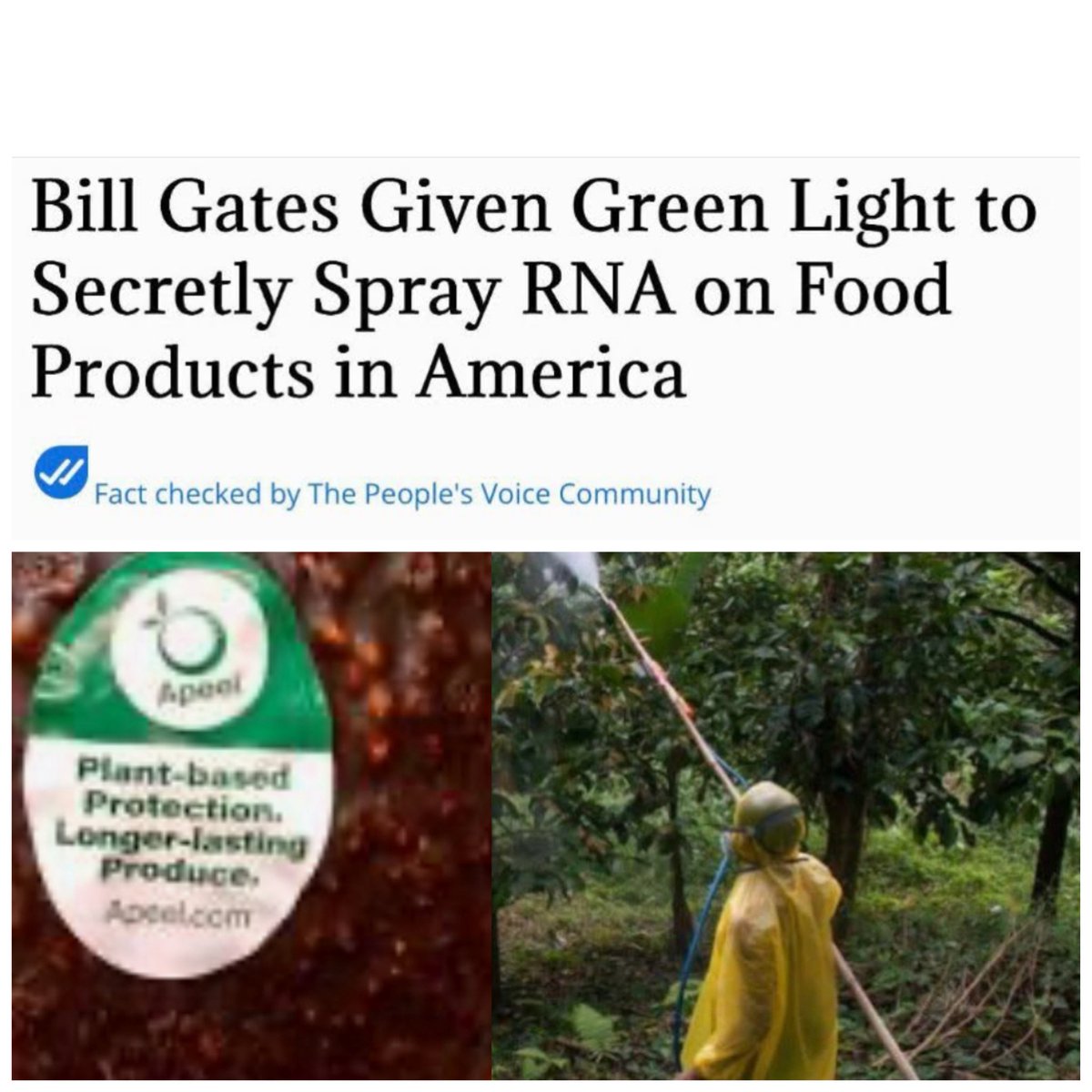 hshLauraJ's tweet image. Hey RFK-
First it was Apeel, now this???
This doesn’t appeal to me….
🤔🤔🤔thepeoplesvoice.tv/bill-gates-giv…