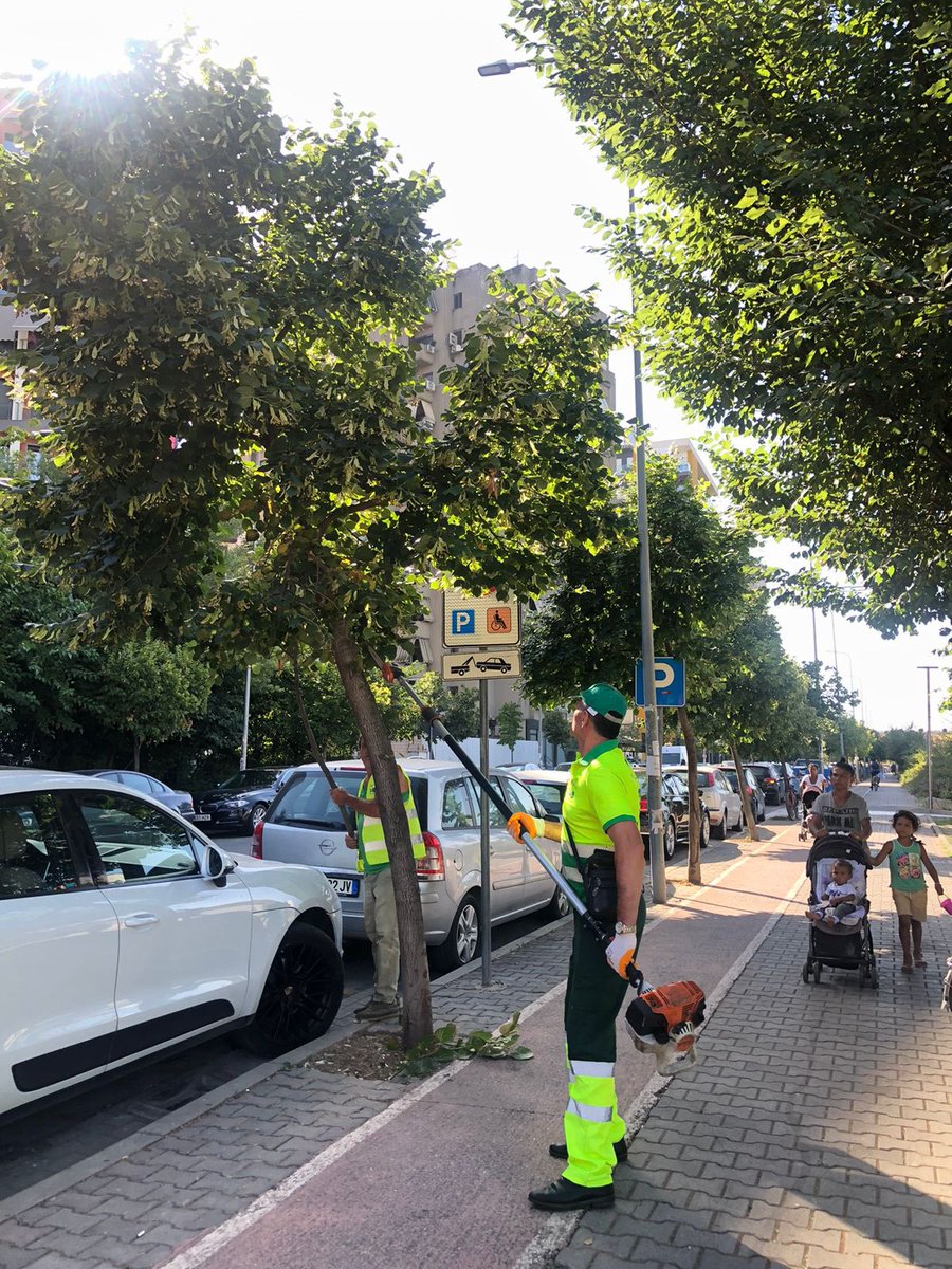 Ka qenë një javë e mbushur plot me punë,👏🏻✅ ku fokus dhe rëndësi të veçantë,  ka marr lirimi sinjalistikave 🚏🚥në rrugë të ndryshme të qytetit. #RrugaKosovarëve #DrejtoriaePërgjithshmeePastrimGjelbërimit