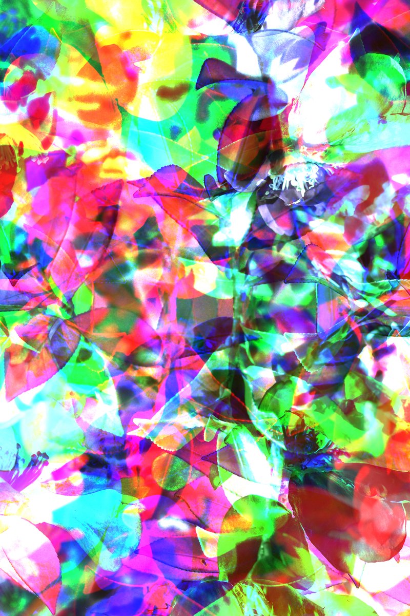 spread_her_wing's tweet image. #photocollage