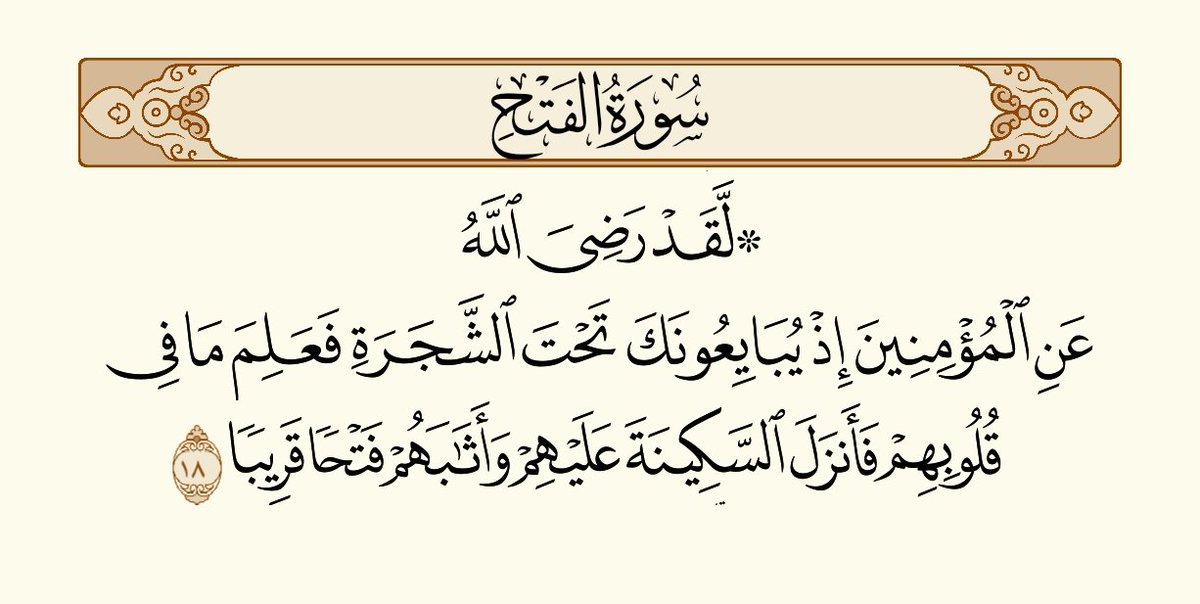OBenAdl2's tweet image. كان في بيعة الرضوان تقريباً 1400 صحابي بايعوا الرسول صلى الله عليه وسلم على القتال والموت تحت ش زيجرة سمرة في الحديبية 6ه عندما أرسل عثمان بن عفان رضي الله عنه إلى قريش ليخبرهم أنهم جاءوا للحج وليس لقتال، فأنتشر خبر قتل عثمان، فبايع صلى الله عليه وسلم أصحابه على الثأر.