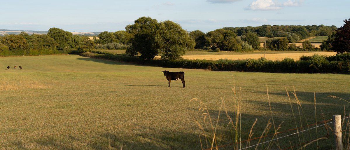 Keir Bradwell tweet media