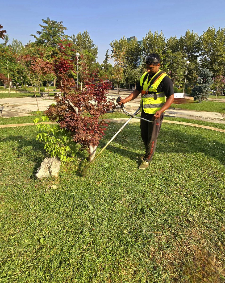 Një ndër lulishtet 🌳🌱më të bukura 🤩dhe më e frekuentuara🚶‍♀️🚶 në qytet, është çdo ditë nën kujdesin e punëtorëve të qytetit,  nëpërmjet disa proçeseve të ndryshme pune: ●Kositje🌱 ●Pastrim 🧹●Vaditje💦 ○lulishtja "Vëllezërit Frashëri " #DPPGJ