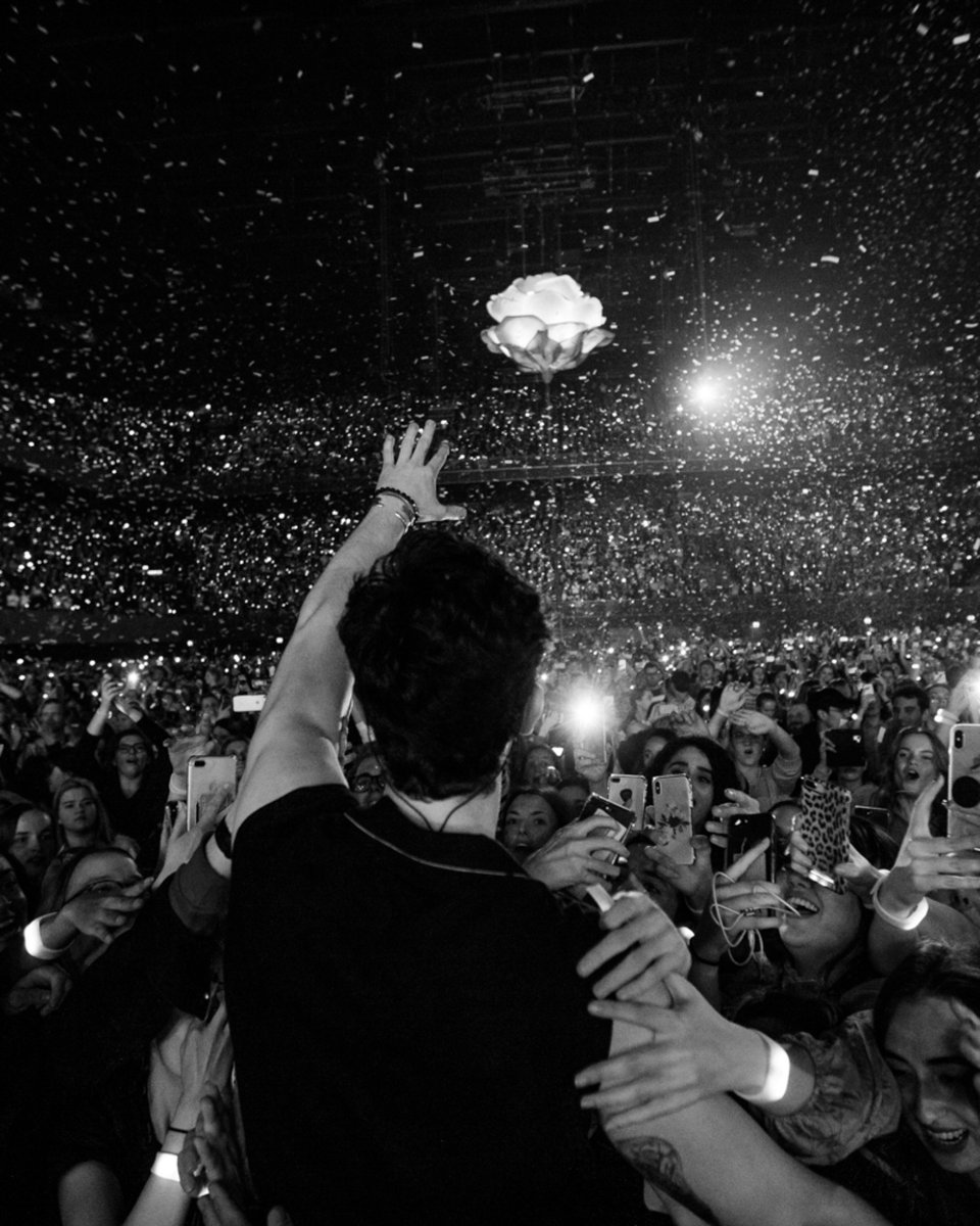 ShawnAccess tweet media
