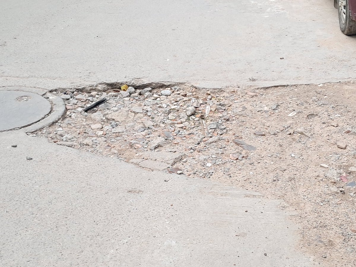 Krishna Chaitanya 🌳♻️ tweet media