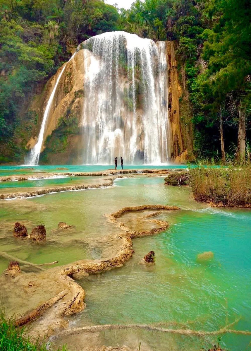 SegusGuillen's tweet image. Buenos días ! #Chiapas es el estado más seguro del país, y también el más biodiverso, el más bonito, el que te hará reconectar con la naturaleza. Te esperamos para un #VeranoExtraordinario