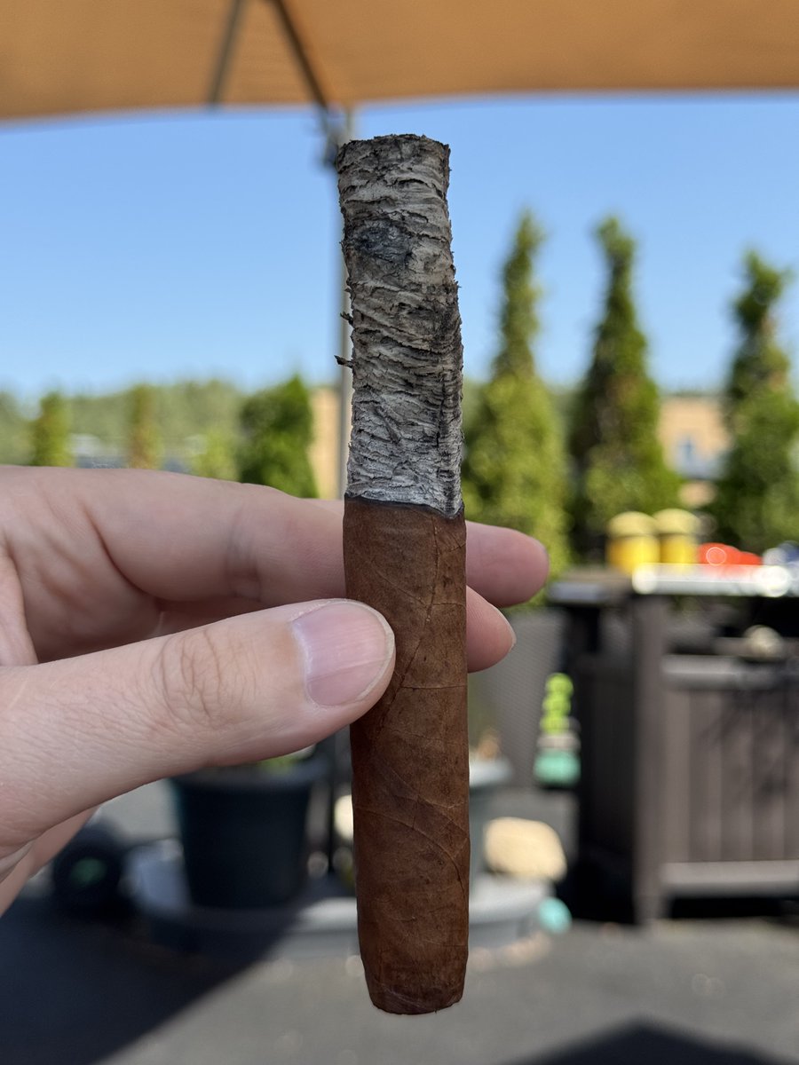 Сегодня наслаждался прекрасной сигарой Евгений Онегин Легенда №4: кубинский табак, но сделана в России на фабрике Siglo De Oro. К сожалению, линейка уже снята с производства. Вкус — кедр, орех, персик/чернослив, душистый перец. Скрутка и тяга на высоте! #Сигары #ЕвгенийОнегин