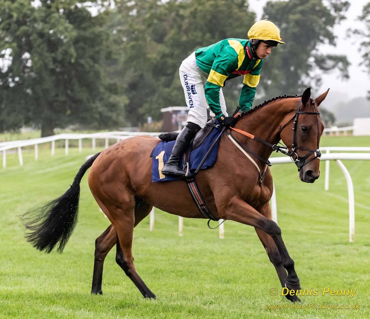Fergal O'Brien Racing tweet media