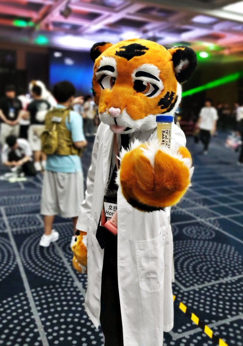 NightFury4S's tweet image. 퍼스트 클래스 - &amp;lt;@Horan_the_tiger&amp;gt;

🐯호란 님! 🐯

#FurstClass