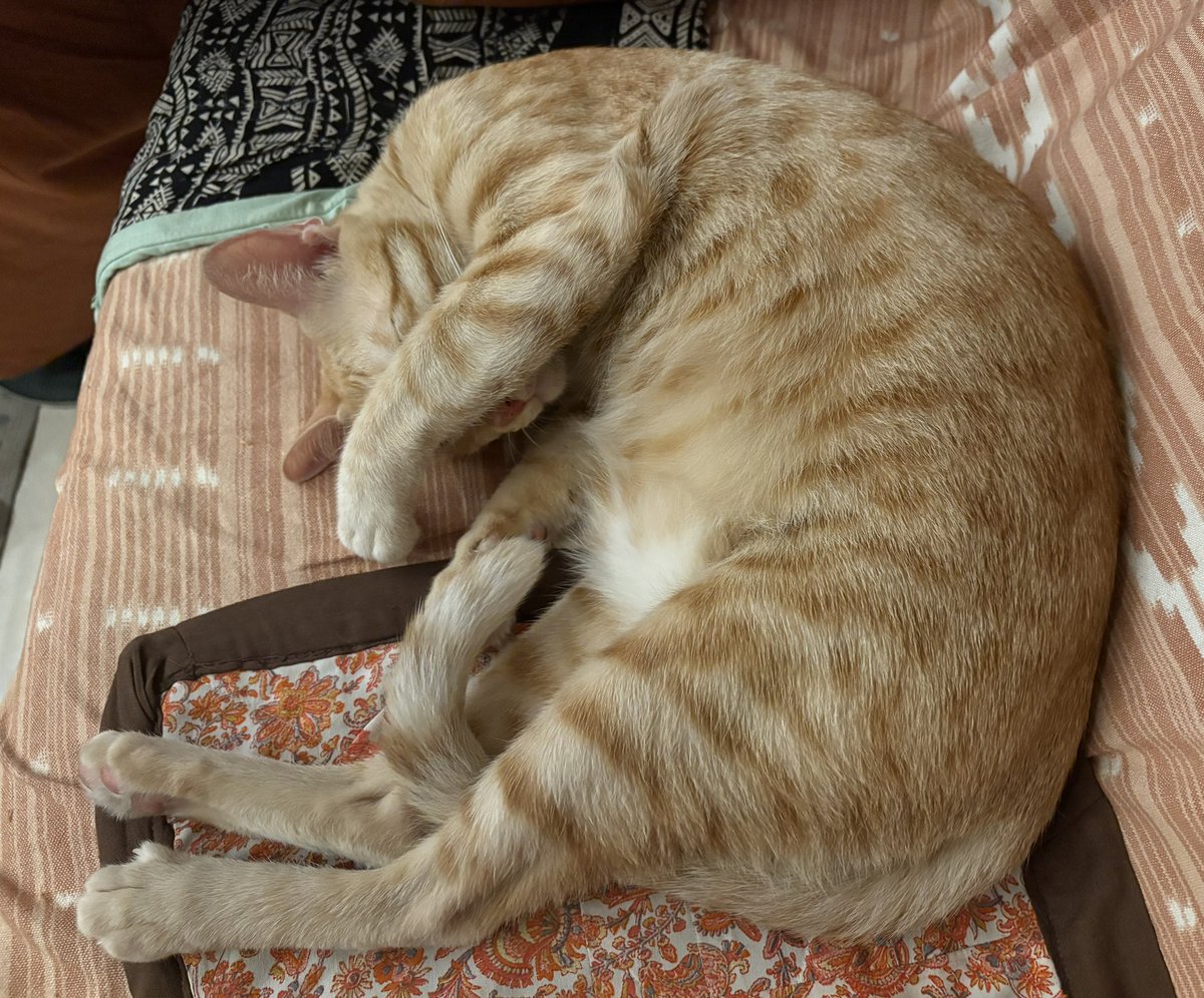 who_nisha's tweet image. Light is on, and i need to sleep right here. Np. Will cover eyes &amp;amp; sleep 😂
#RioVersion