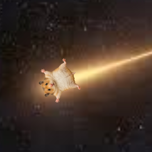 Astronomers just discovered a new constellation:
The great HAMSTAR
#HAMSTAR