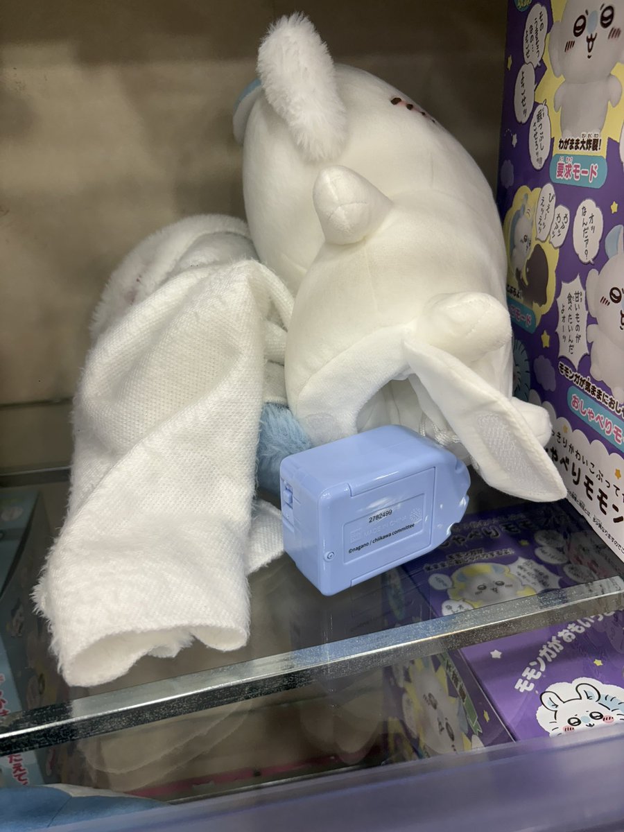 _elqzz's tweet image. 動物虐待？