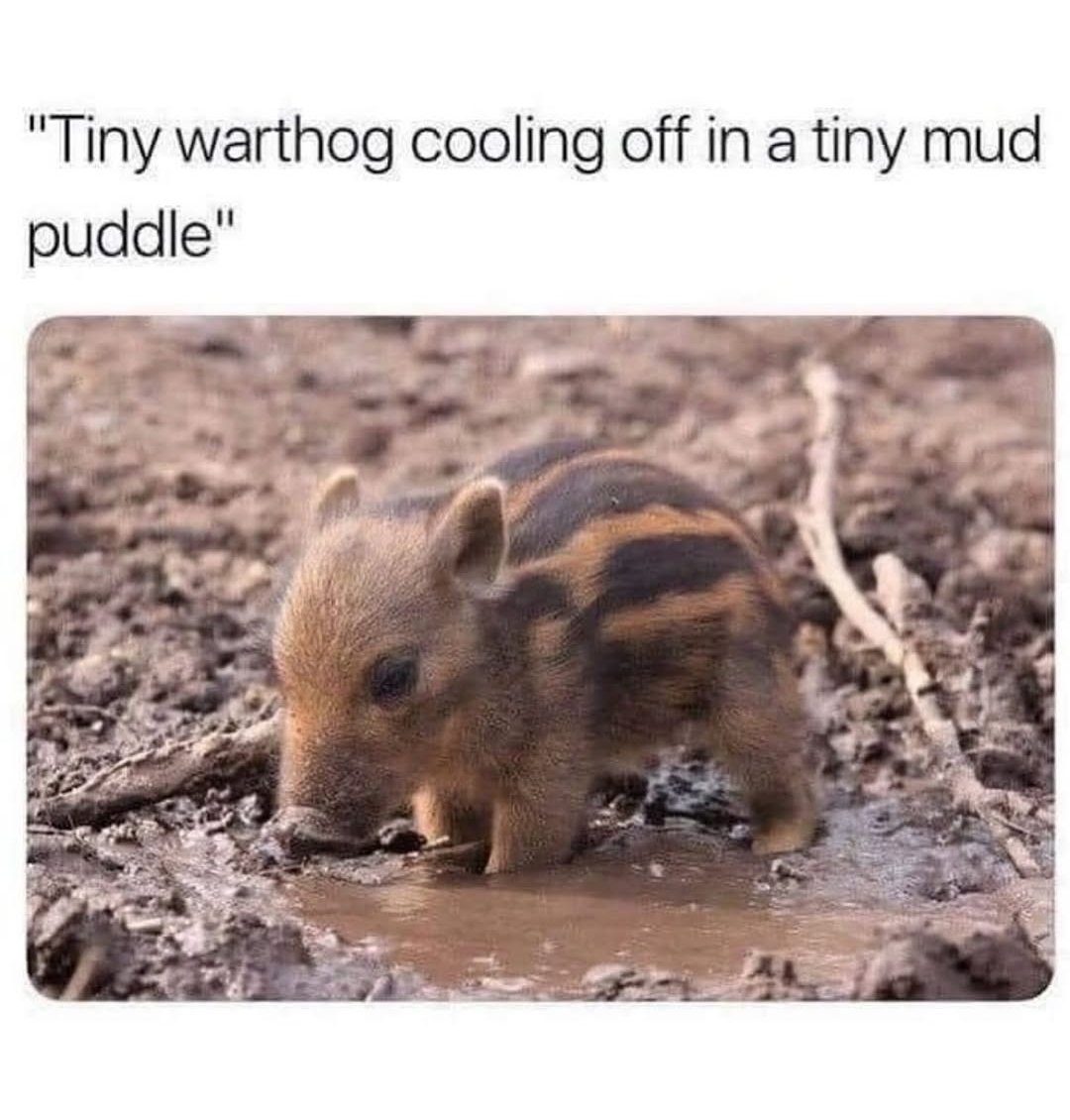 I think we all need this today.