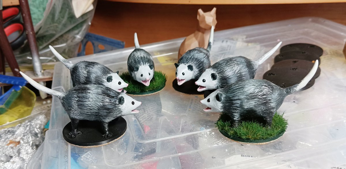 Вайбую разом з опосумами