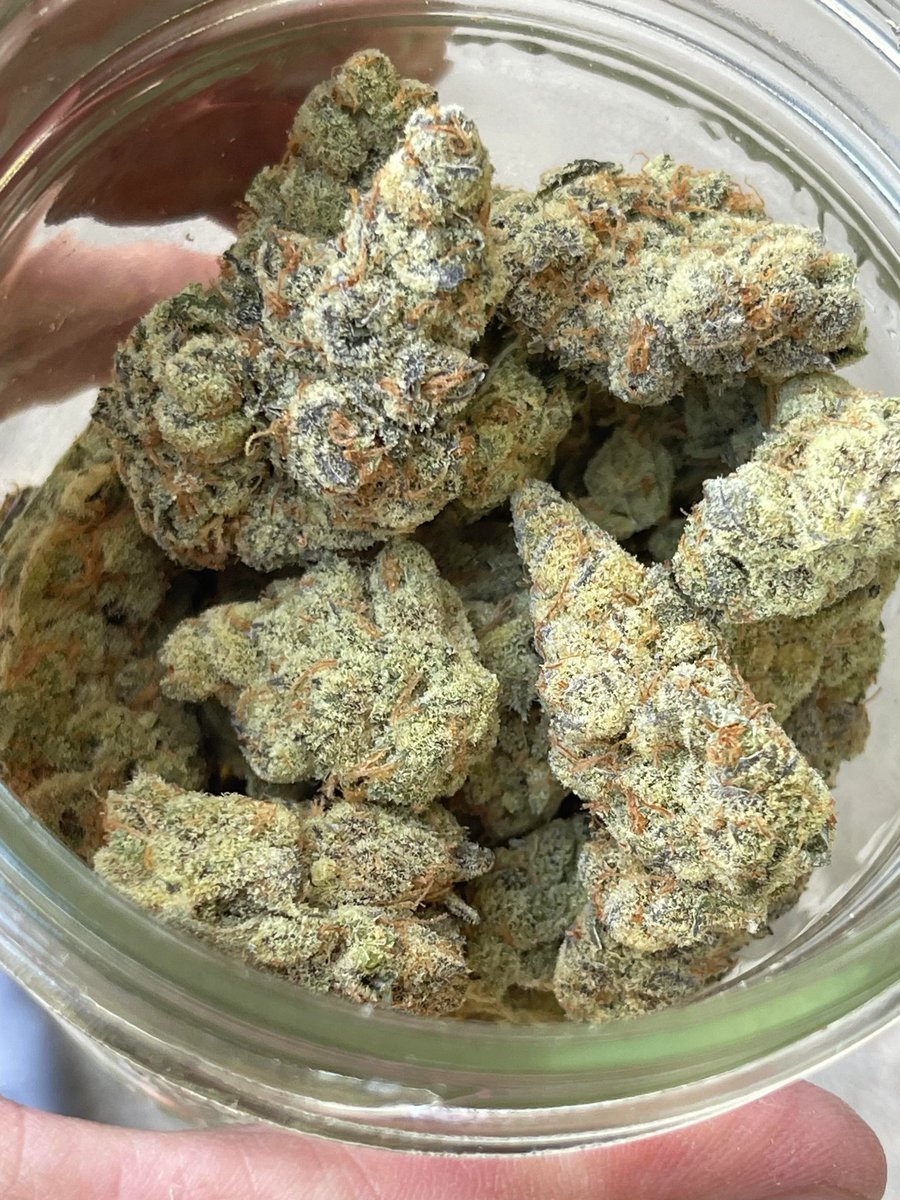 STONED2Da_BoneZ's tweet image. 🔥 🔥 Funk MTN 🔥🔥