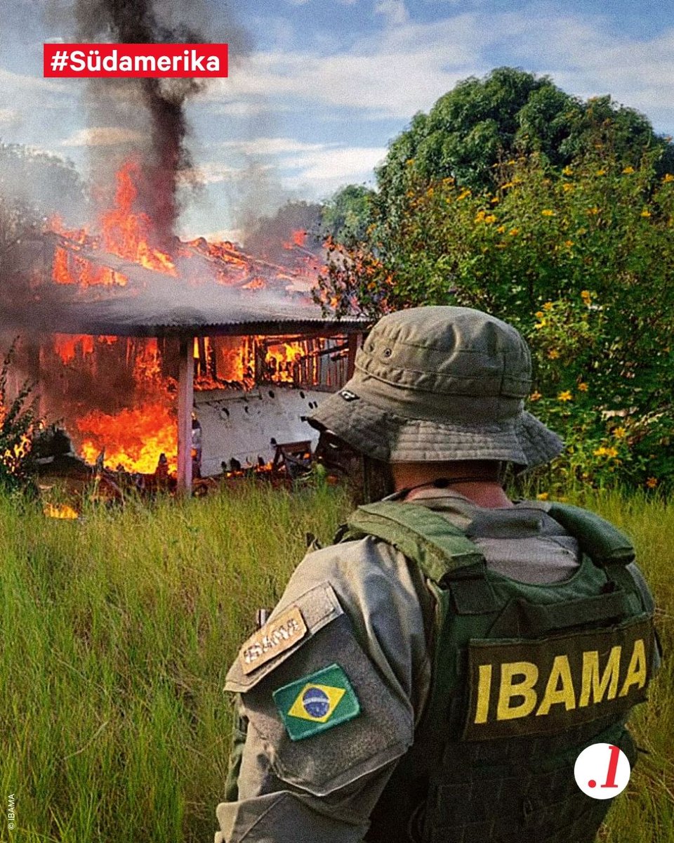 loyalmagazin's tweet image. ❗ Illegaler #Bergbau ist ein wachsendes Problem in #Südamerika 😱. Einige Regierungen gehen jetzt mit militärischen Sondereinheiten dagegen vor. Lest mehr über diese in Europa kaum bekannte Thematik hier 👉 reservistenverband.de/magazin-loyal/…

&amp;gt;&amp;gt; Wir sind das Magazin von @DieReserve &amp;lt;&amp;lt;