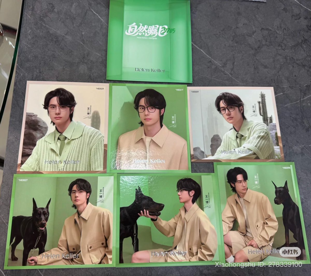 Alalmone's tweet image. ♡ ดีล ไม่พร้อมส่ง ♡
♡ โปสการ์ด helen keller 6 ใบ
♡ 145฿ / 📦 35฿
♡ dm kub &lt;3
#ตลาดนัดหวังอี้ป๋อ