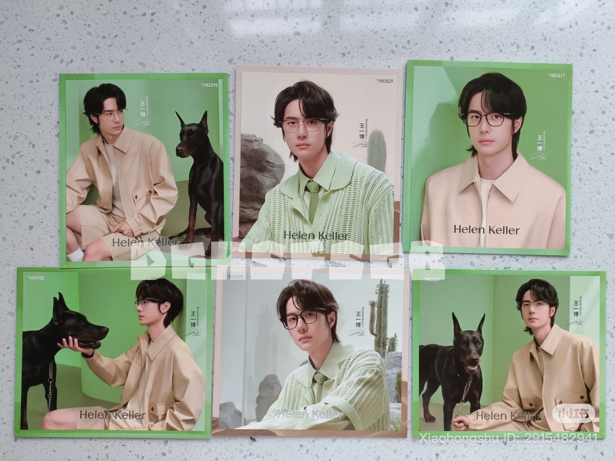 Alalmone's tweet image. ♡ ดีล ไม่พร้อมส่ง ♡
♡ โปสการ์ด helen keller 6 ใบ
♡ 145฿ / 📦 35฿
♡ dm kub &lt;3
#ตลาดนัดหวังอี้ป๋อ