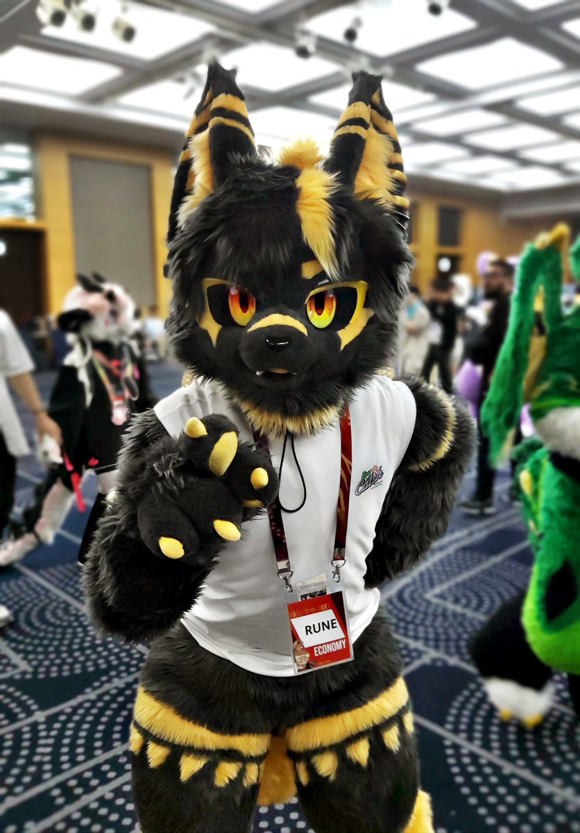 NightFury4S's tweet image. 퍼스트 클래스 - &amp;lt;@Mungto_fur&amp;gt;

멍토(룬) 님!

#FurstClass