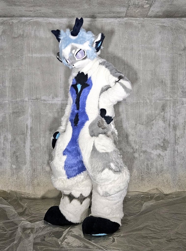 bluefox_kr's tweet image. [#139] Shururu
#bluefox #fursuit