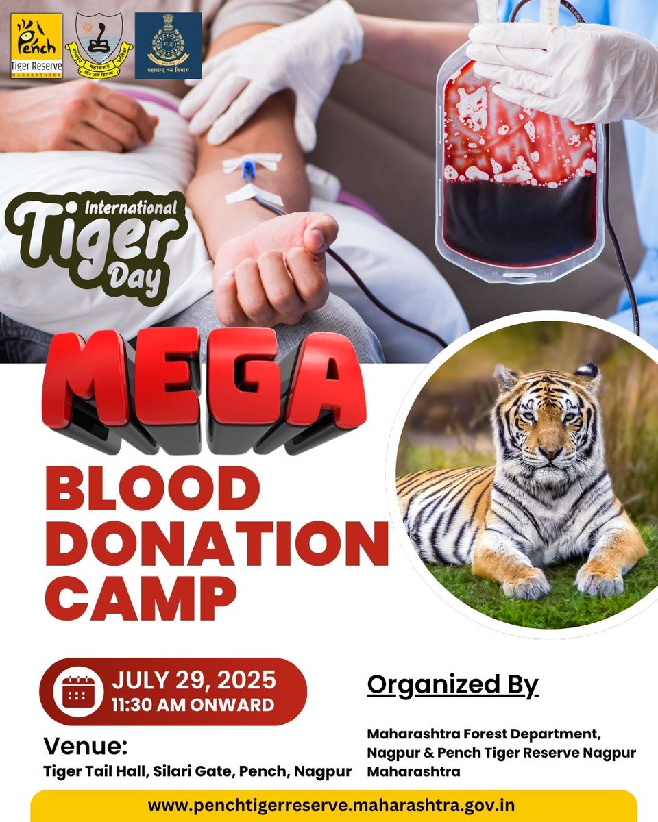 📣 Roar for a cause! 🐅 Donate blood this International Tiger Day (July 29, 2025, 11:30 AM onwards) at the MEGA BLOOD DONATION CAMP 
. #InternationalTigerDay #BloodDonationCamp #SaveTigers #PenchTigerReserve #MaharashtraForestDepartment #DonateBloodSaveLives 🩸❤️