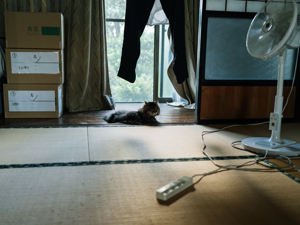 tnkrkkr's tweet image. 夕方、すこし涼しかった。