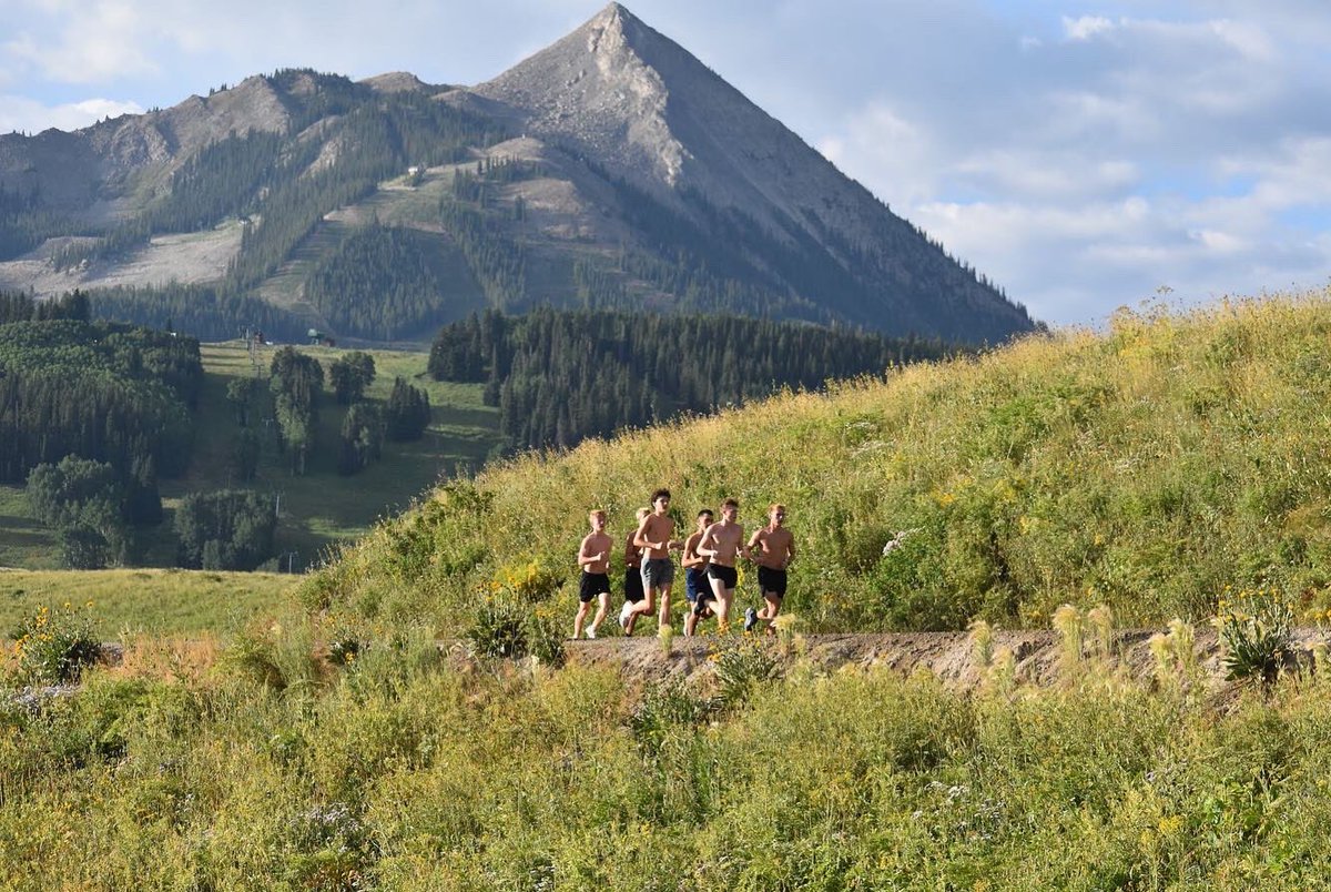 SouthRunning tweet media