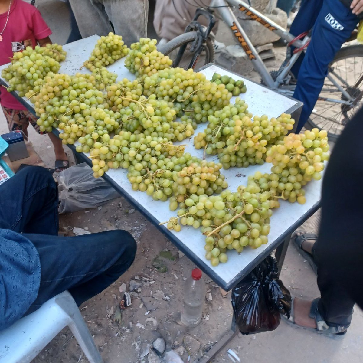 KhetamAlmasri's tweet image. I went to the market to buy something. I saw grapes and asked him about the price, he told me that one kilo costs 150 shekels, which is equivalent to $45 (plus 40-50 % withdrawal fees). I returned to the tent without being able to buy anything to eat.
๐tinyurl.com/Khtam
