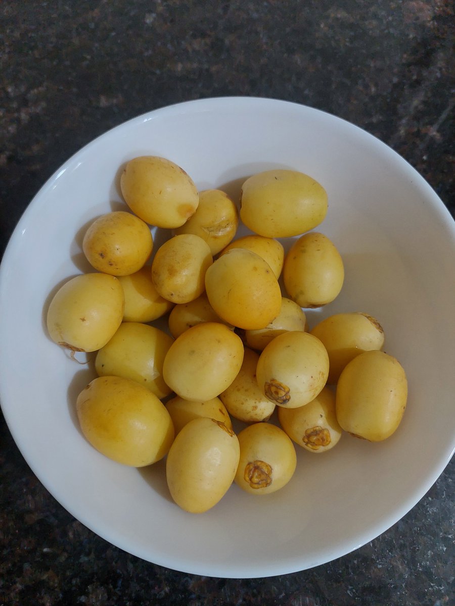 What are these called in your language?