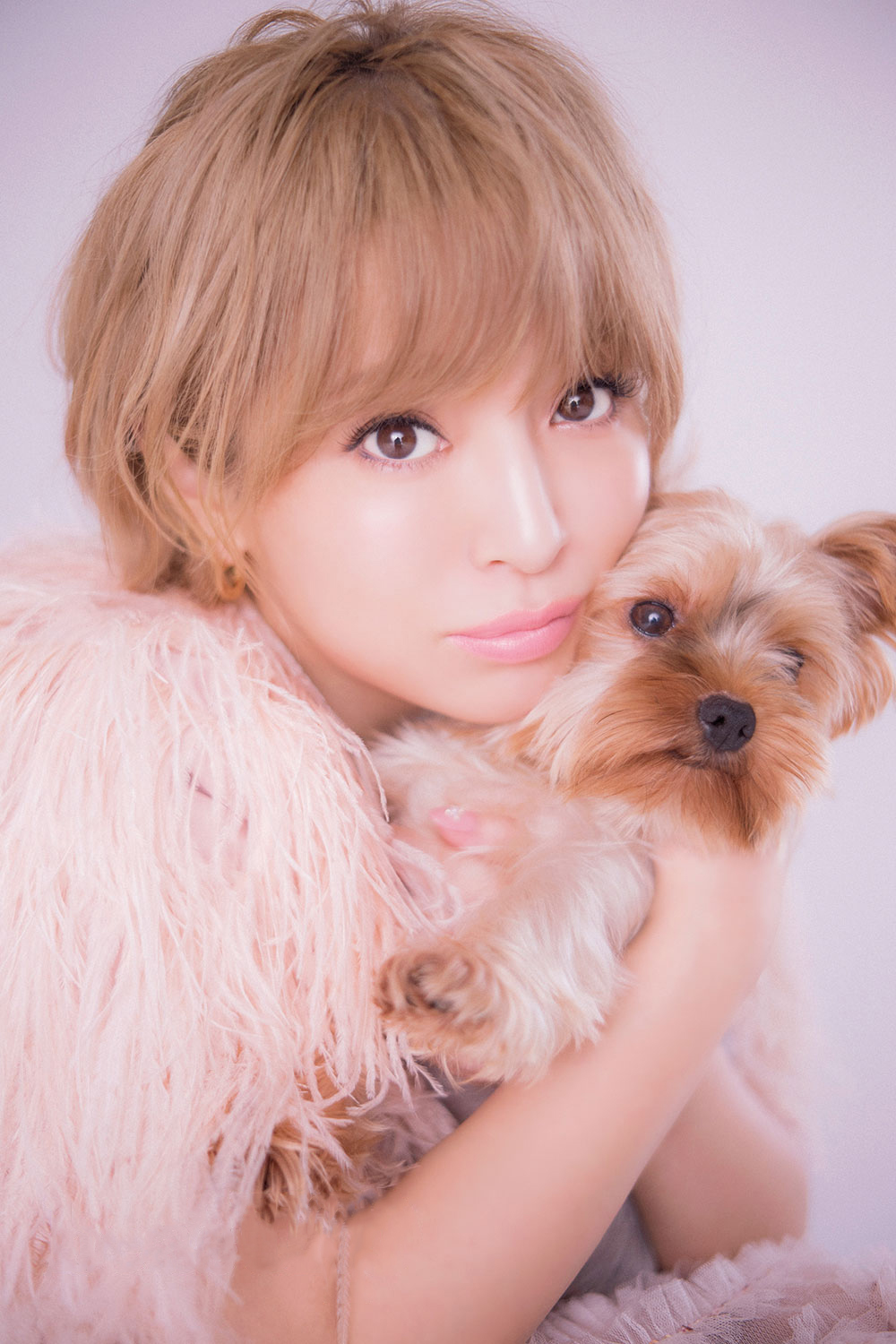 浜崎あゆみ■レア■ayupan■愛犬■【在庫ラスト】【匿名発送】 浜崎あゆみDVDリリース記念グッズ特集