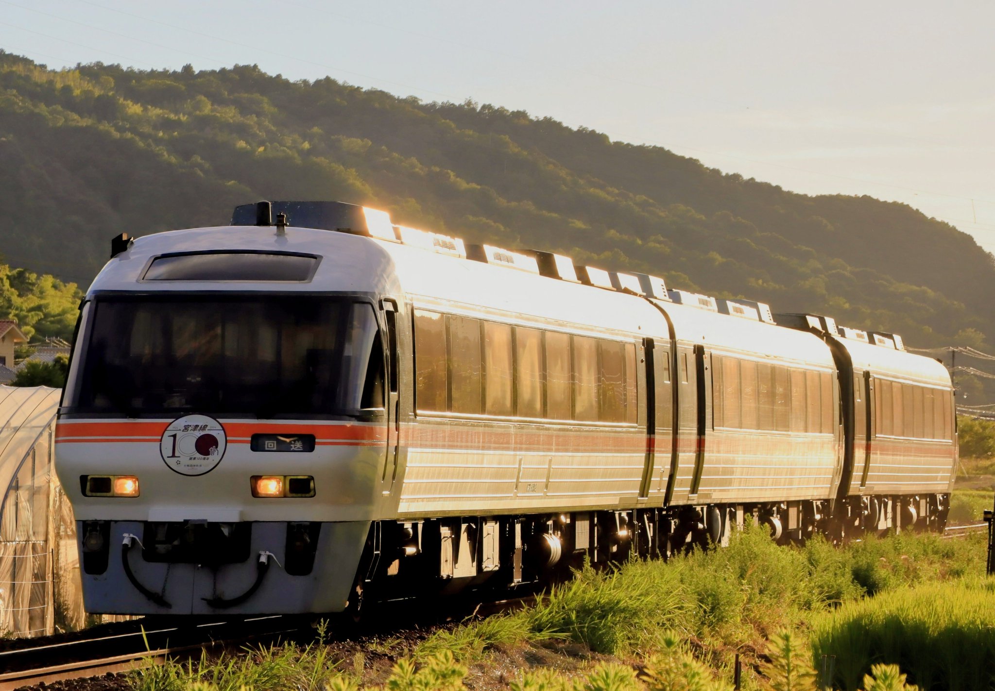 キバナ キバナ 022/030｜ポケカシングルカード通販｜Cloveストア