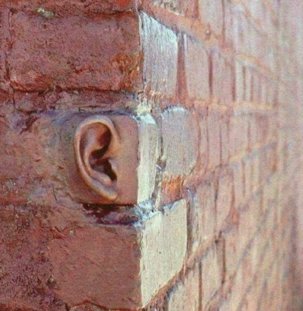 itxareebahere's tweet image. If &quot;deewaro k bhi kaan hoty hain&quot; had a face😂