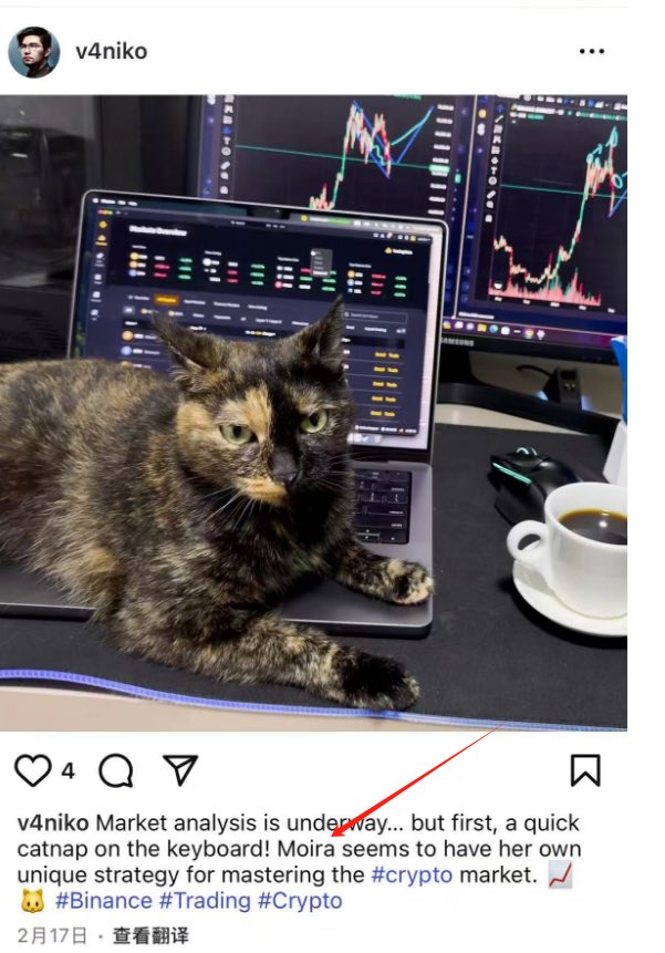 #Moira
币安INS账户最新更新一条交易猫视频，明确了名字，这个猫是属于交易叙事，目前市值比较低，感觉射出去是没问题的
ca

0xe8a5871b83e72ee041d696150edadfb7fe484444

#DYOR