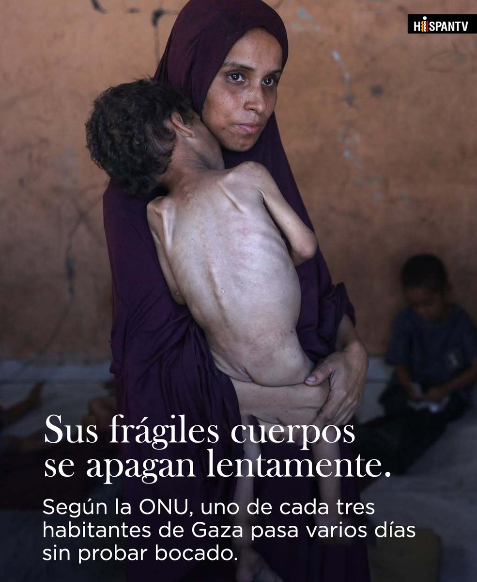 📸Sus frágiles cuerpos se apagan lentamente🍽🇵🇸

🔺Según la ONU, uno cada tres habitantes de Gaza pasa varios días sin probar bocado.

Más detalles👉t.me/hispantvcanal 
#ONU #hambruna #Gaza #GazaGenocide #Israel