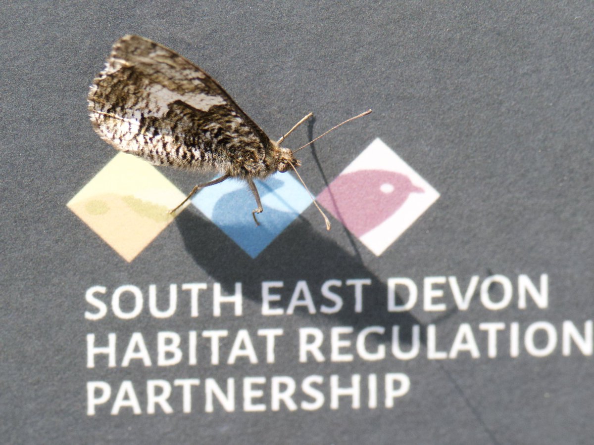 Tim Ridgeway tweet media