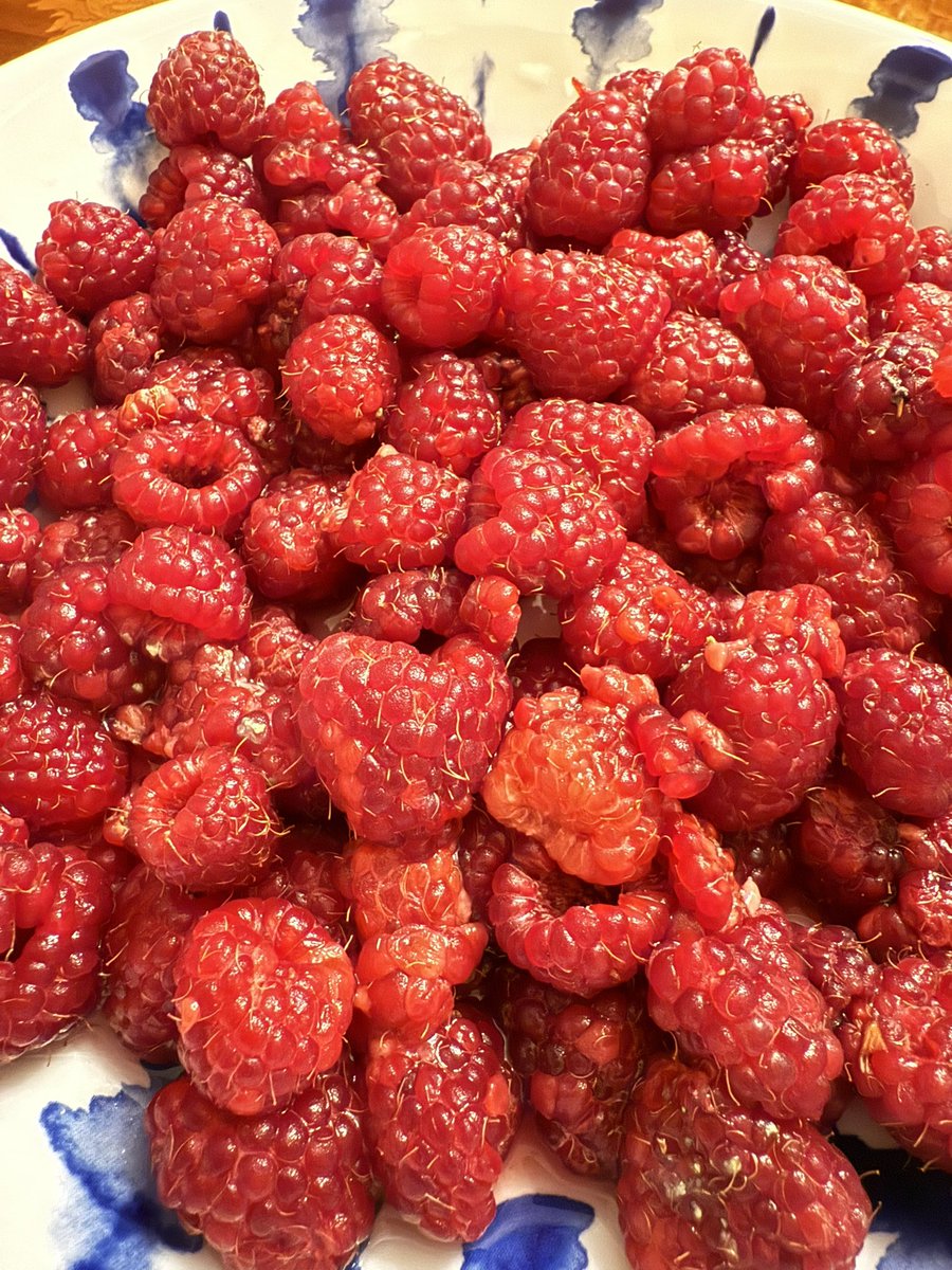 Энэ жимсэнд л дуртай😋