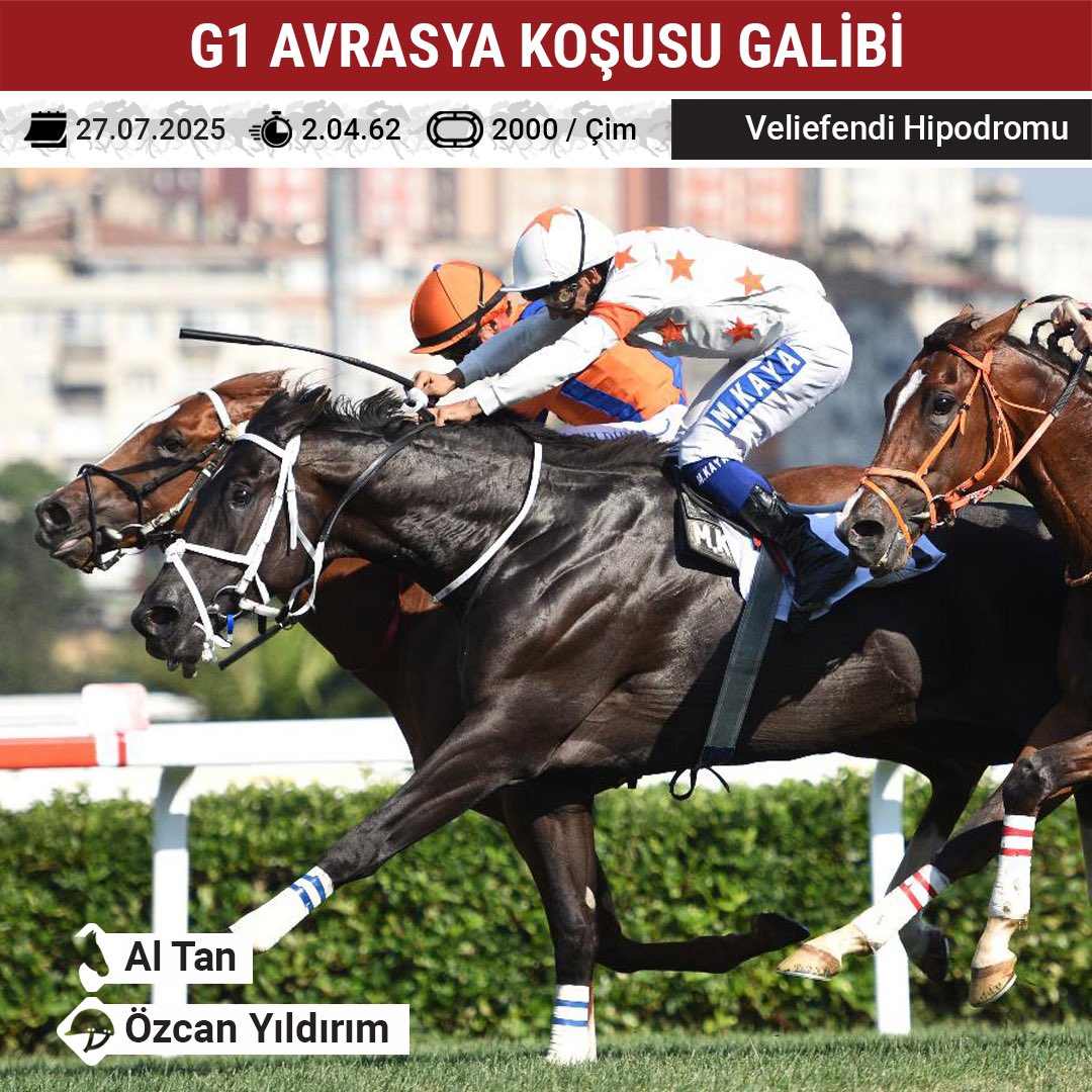 Türkiye Jokey Kulübü tweet media