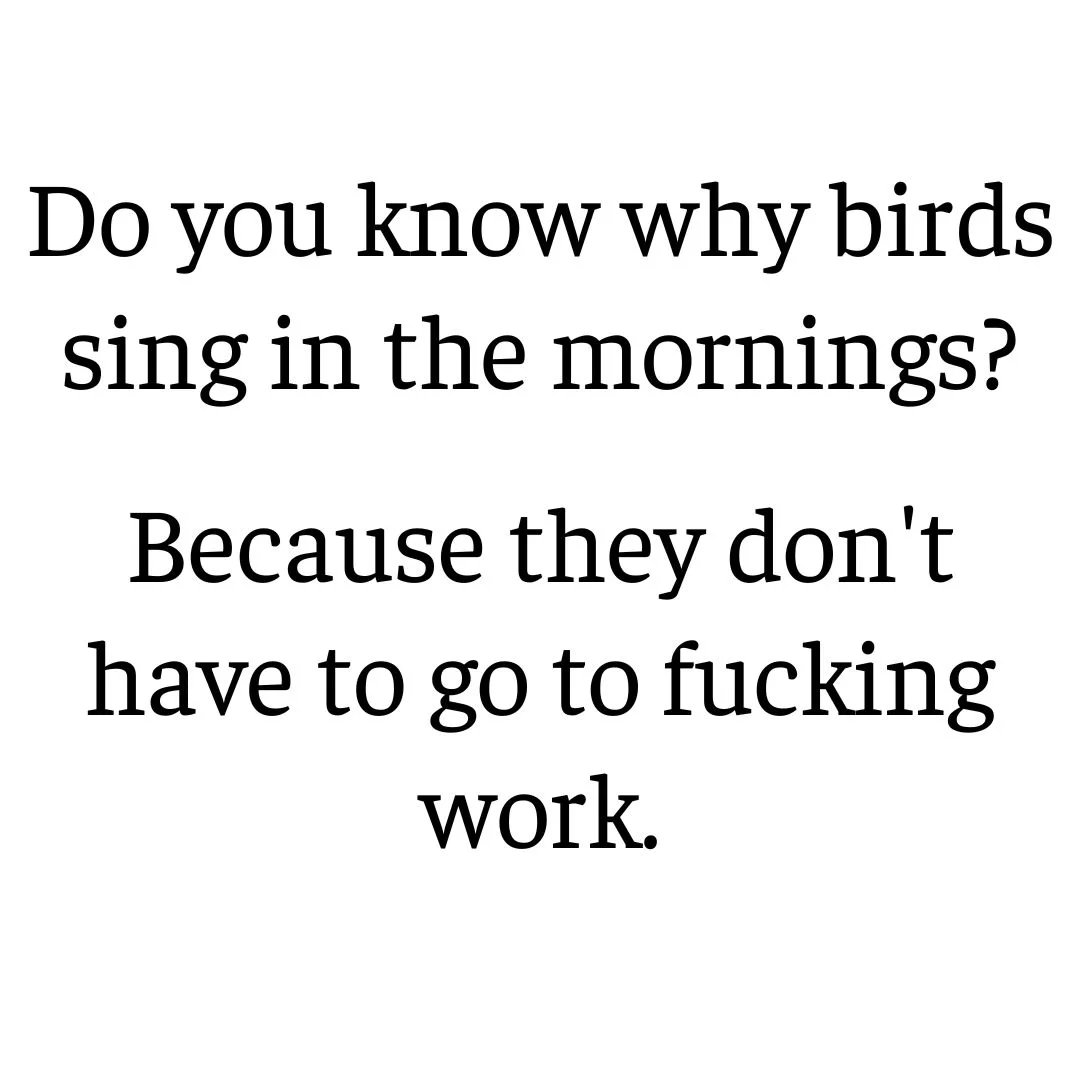 🤣🤣🤣🤣🤣🤣🤣