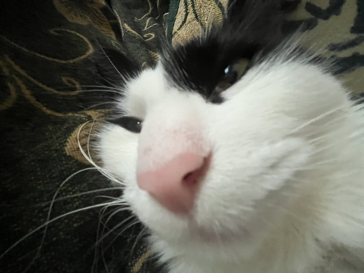07locus's tweet image. creature
