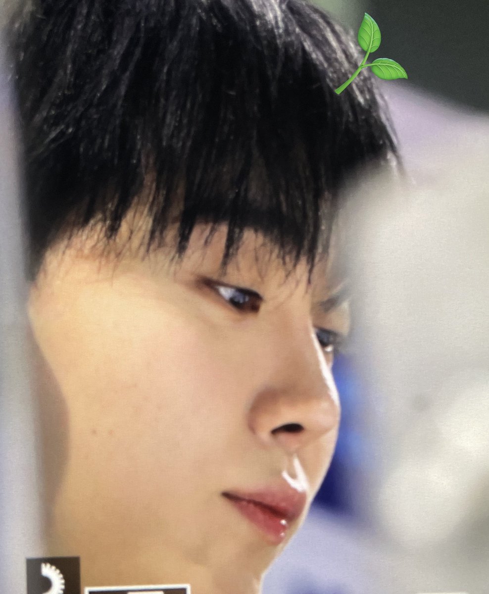 boodeungkwan's tweet image. 내 말랑바봉이가 너무 보고시퍼