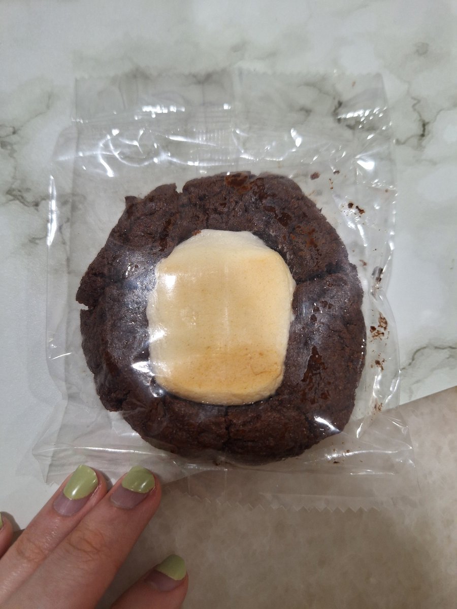 emohoetion's tweet image. bought a dark chocolate smore cookie and the vendor girl was so sweet :,( she tried making convo with me and i froze cuz i havent talked to a real person in days and forgot how to socialize so i feel bad now