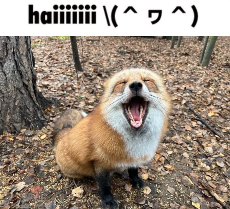xlovslime's tweet image. 