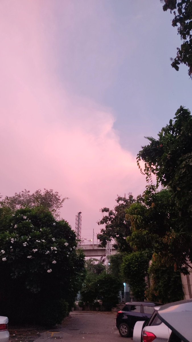priyayayanshi's tweet image. &quot;the sky is pink&quot;